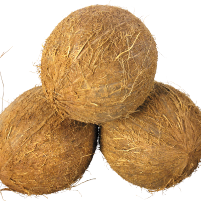 Coconut 1pcs