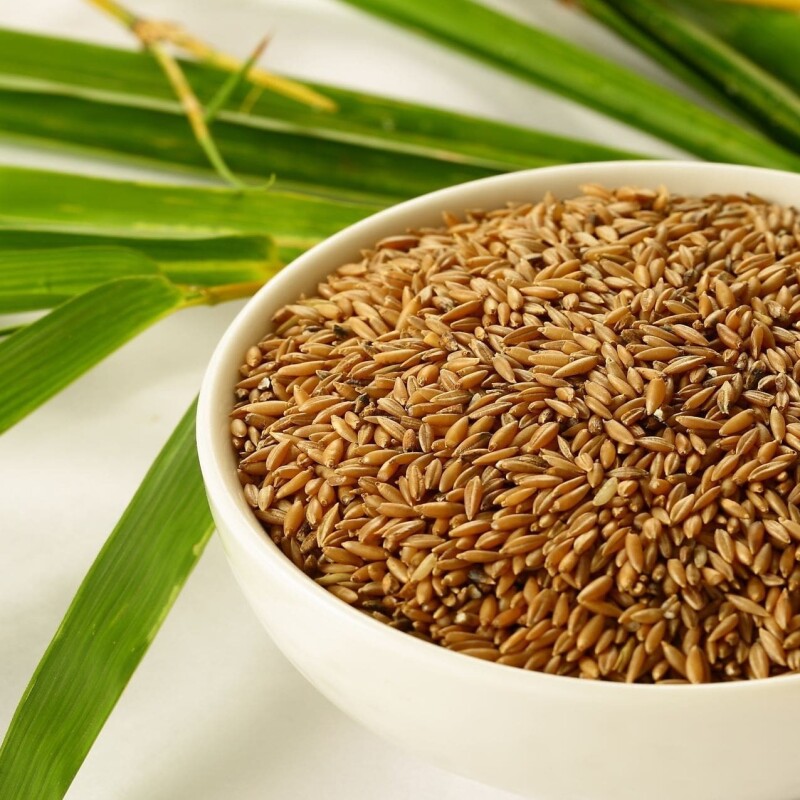 "Bamboo Rice vs. Regular Rice: Which Is the Healthier Option?"