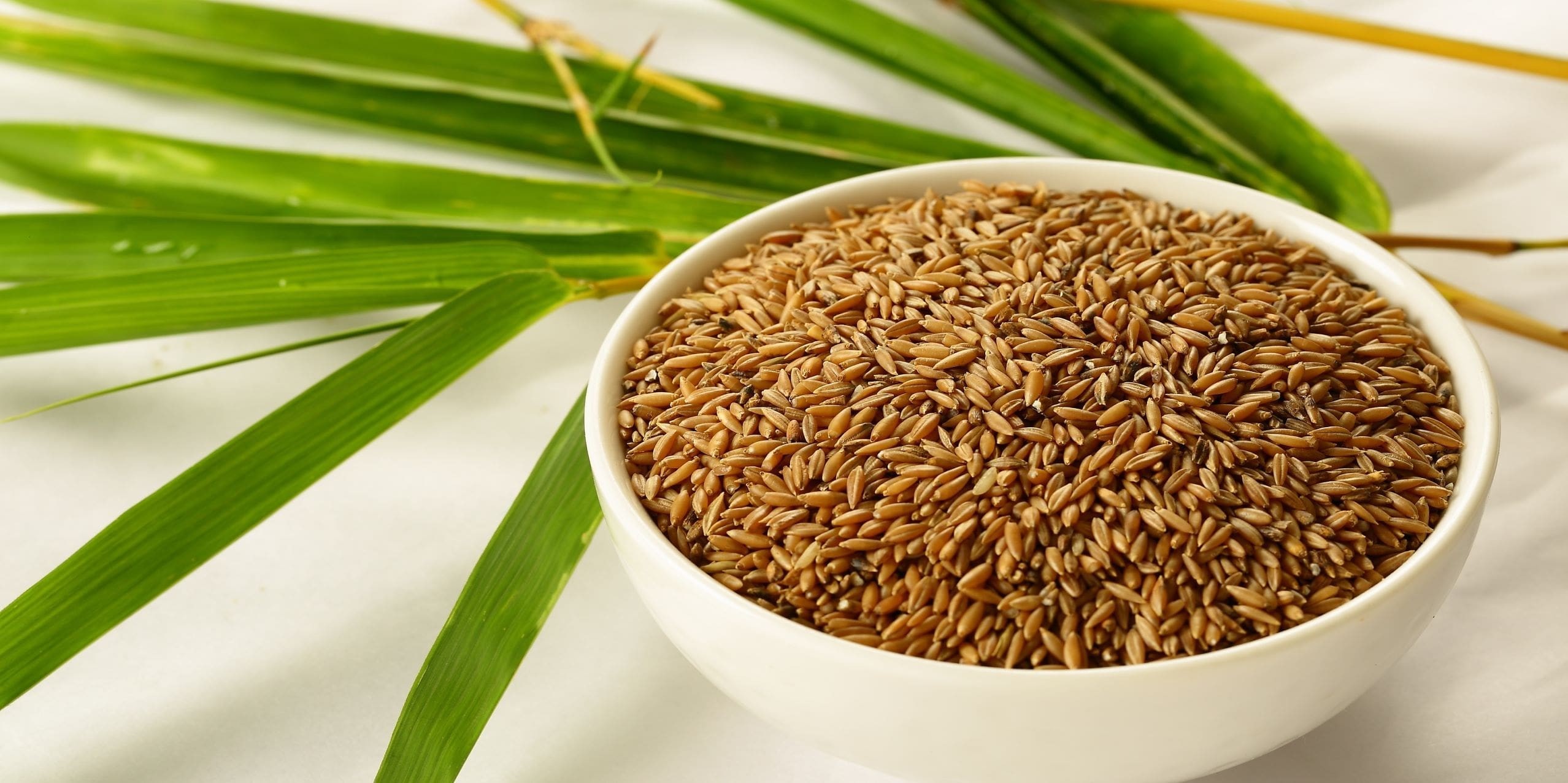 "Bamboo Rice vs. Regular Rice: Which Is the Healthier Option?"