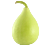 Bottle gourd-250g