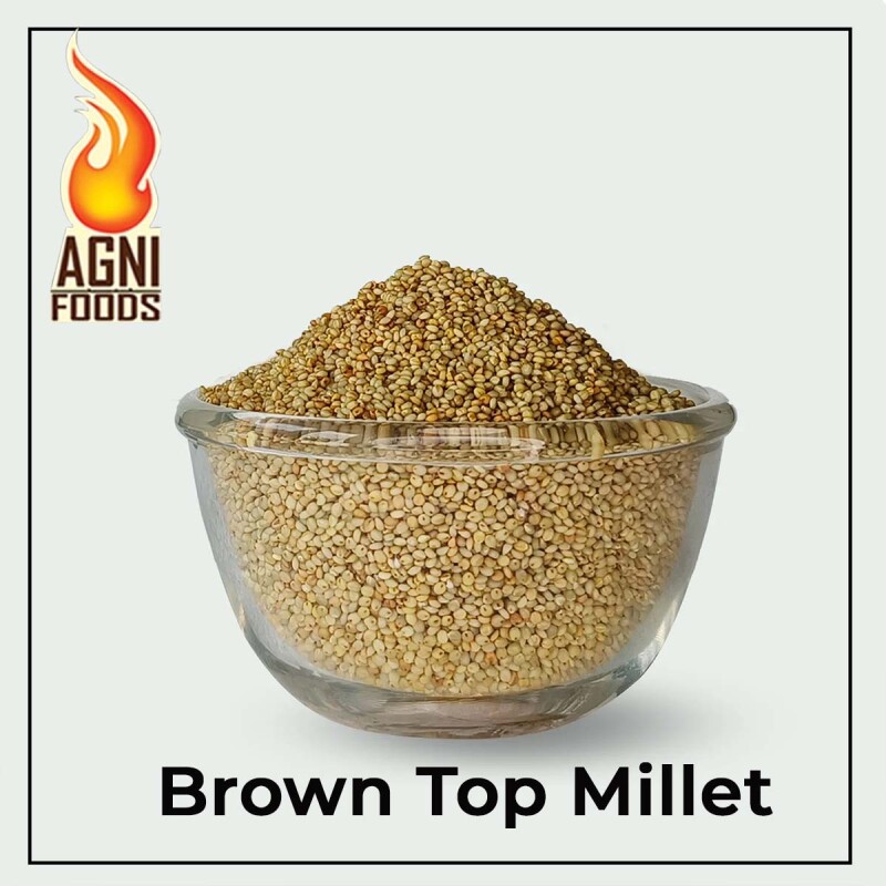 BROWN TOP MILLET