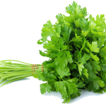 Coriander Leaves