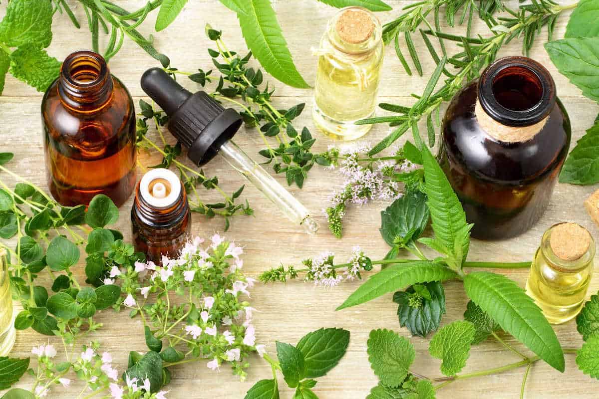 The Benefits of Switching to Organic Skincare Products